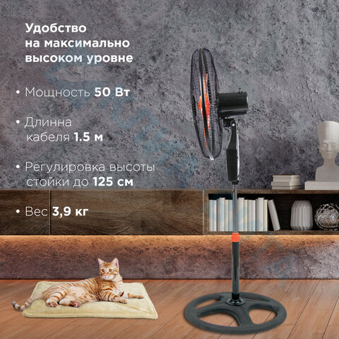 izobrazhenie_2022-05-23_124831.png